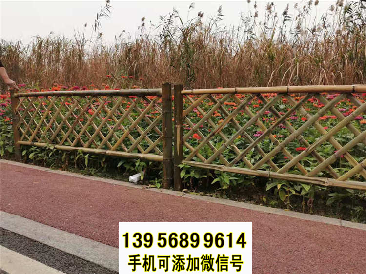 新绿化带竹篱笆围栏