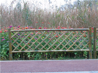 竹篱笆造型图片