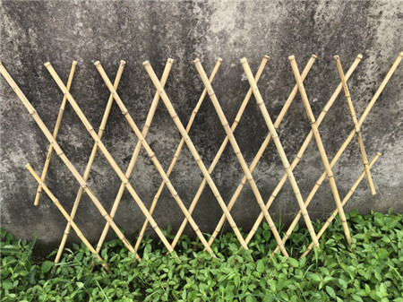  竹篱笆围栏多少钱一米	