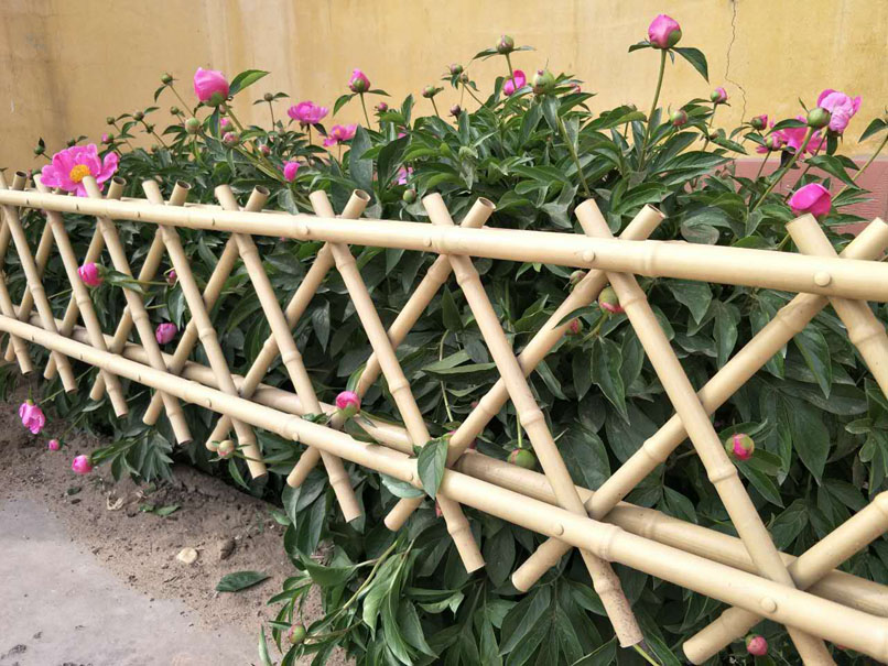 日式竹篱笆围栏图片
