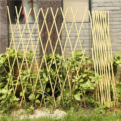 自制竹子围栏
