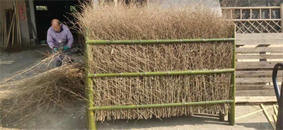 竹片围栏
