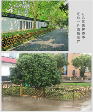 竹篱笆围栏图片
