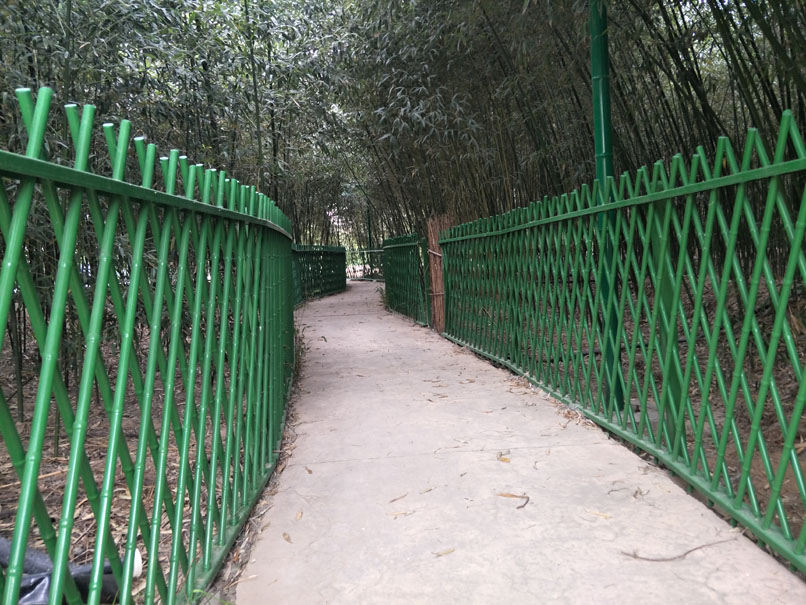 竹篱笆使用绿色环保！