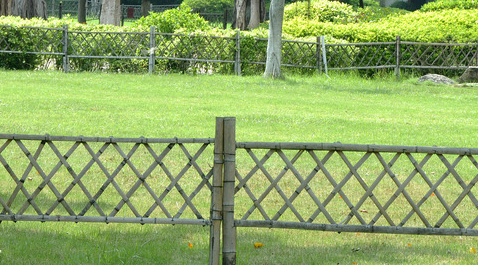 竹篱笆围栏用起来是怎样的体验！