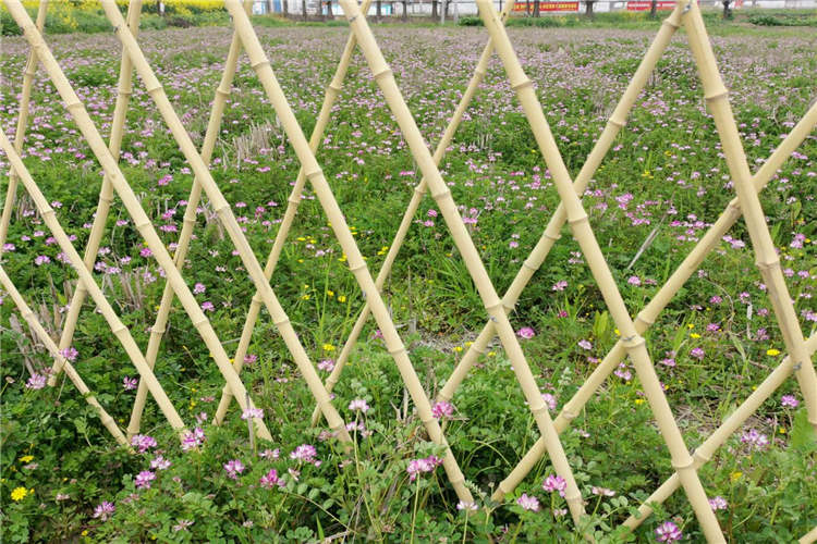 竹篱笆围栏制作材质选竹子有何优势？