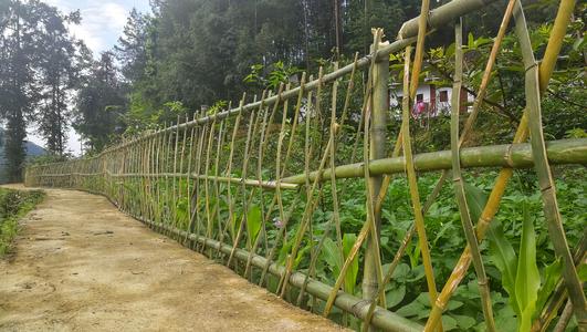 城市中使用竹篱笆围栏是一种什么样的体验？