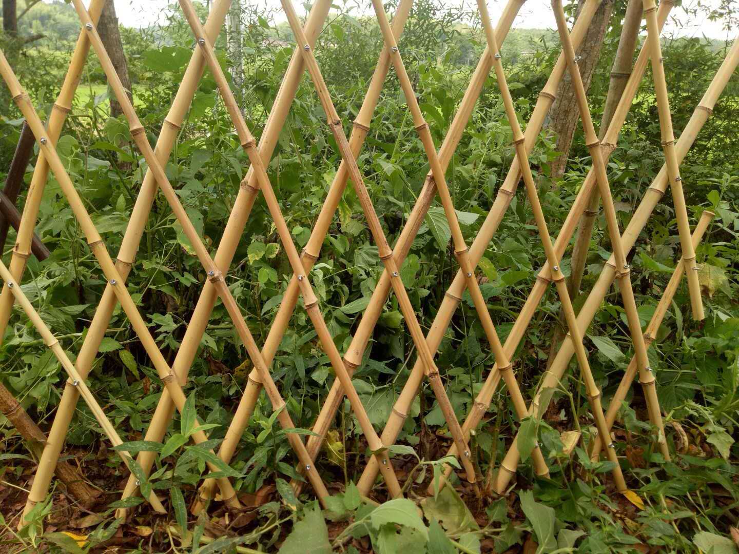 竹篱笆围栏有哪些突出的优点？