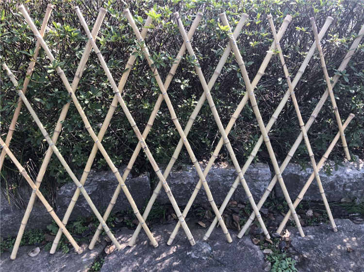 乡村自制竹篱笆围栏成为我童年中的回忆！