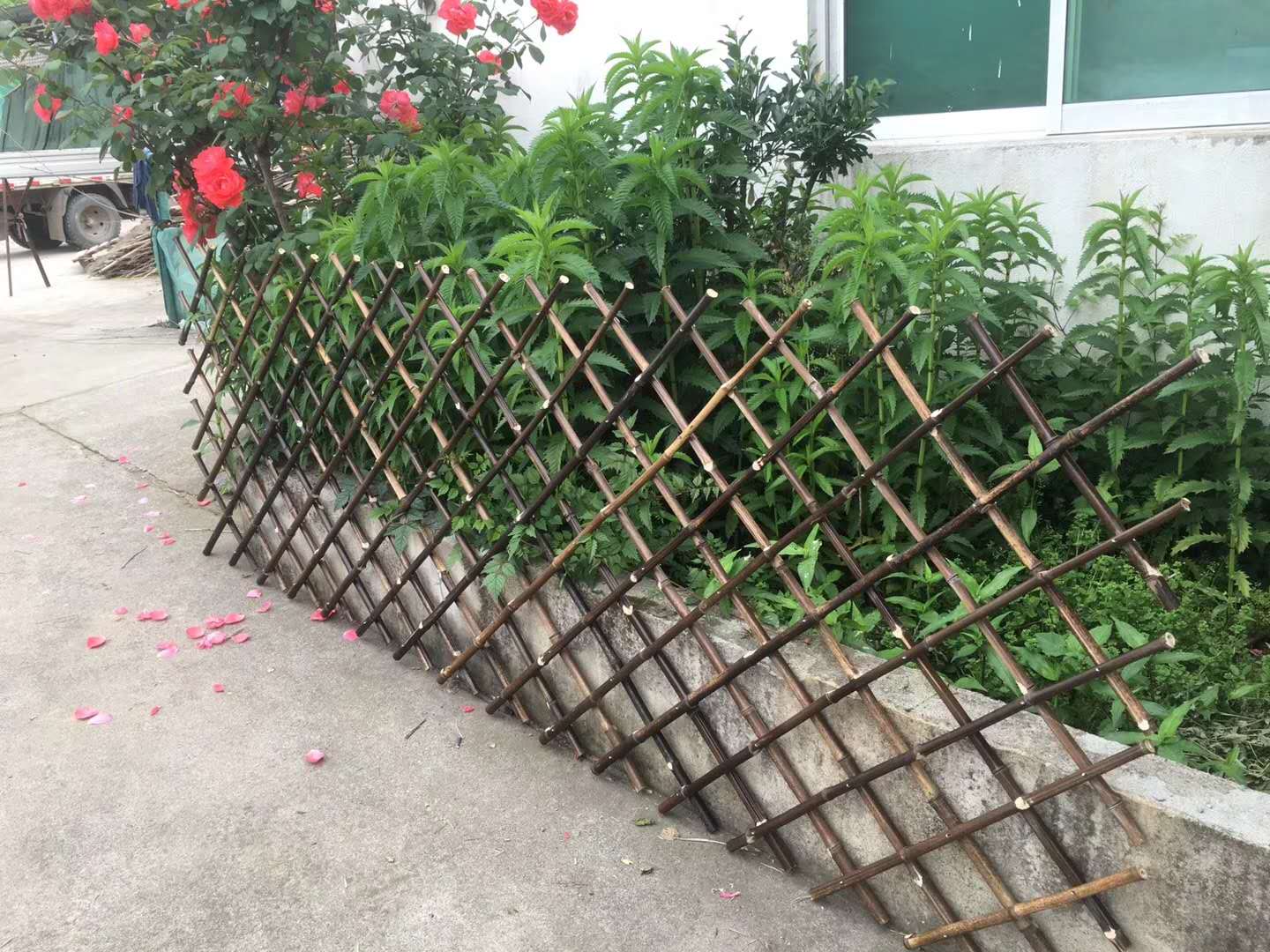 选择竹子制作的竹篱笆围栏是否合适?