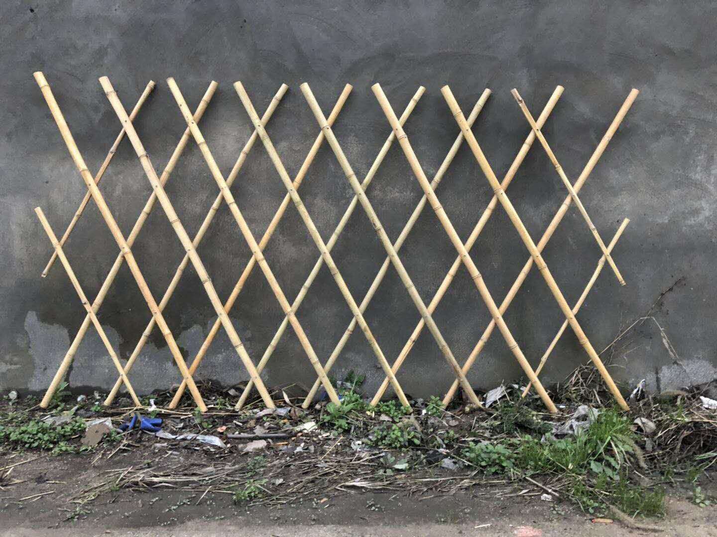 自制竹篱笆可以用多少年限？