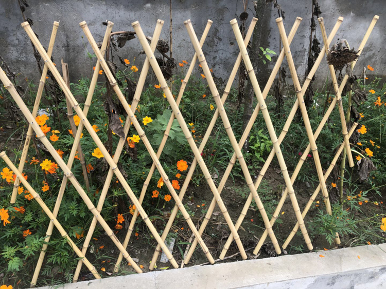 农村菜园竹篱笆围栏是怎么制作起来的？