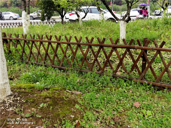 原生态的江苏竹篱笆是如何做成的？