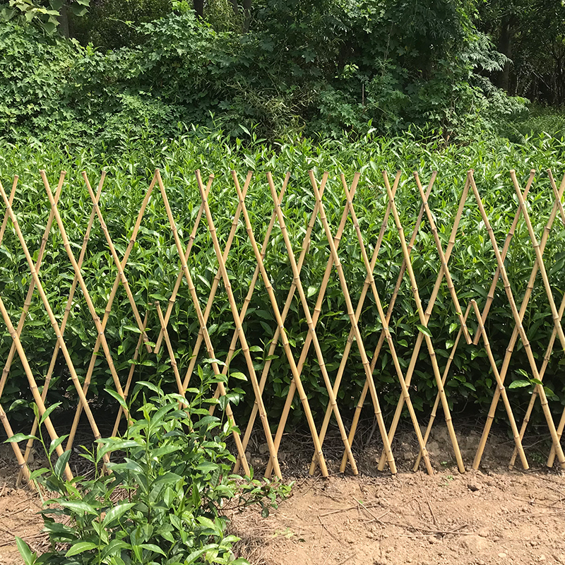 竹子围栏篱笆建筑突出的优势？