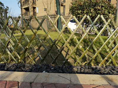竹篱笆护栏在美化乡村中使用比较受欢迎！
